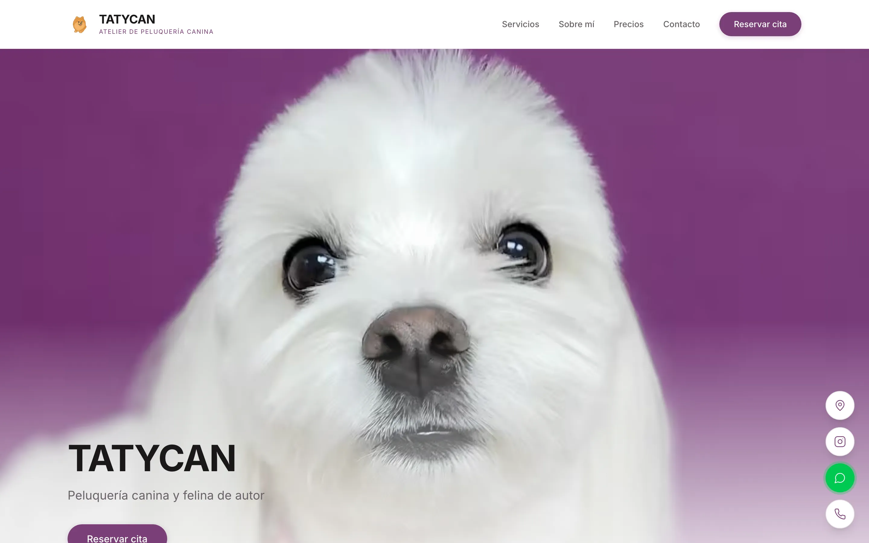 The Tatycan salon website home page: services navigation and a prominent online-booking button over a photo of a freshly groomed dog.