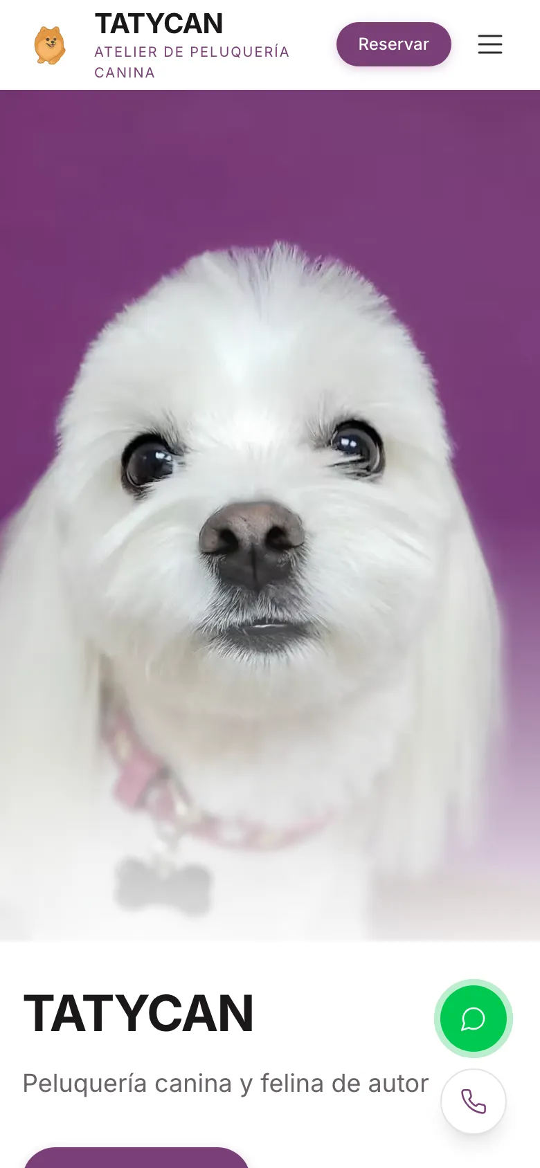 The Tatycan site on a phone: the salon brand over a groomed dog, with the online-booking button front and centre.